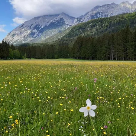 Apartamento Felicitas Mit Sauna By Appartementhaus Theresia