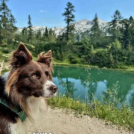 Felicitas Mit Sauna By Appartementhaus Theresia Bad Mitterndorf