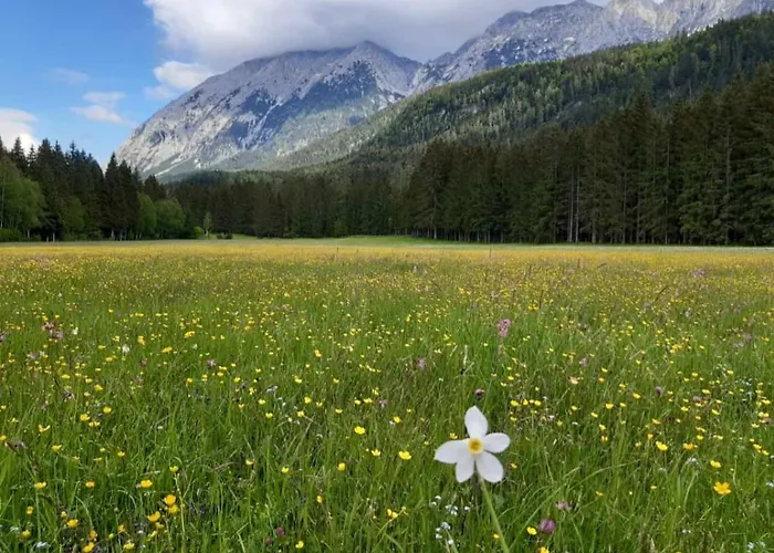 Apartment Felicitas By Appartementhaus Theresia